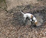 2006_2007 Monty -01 null