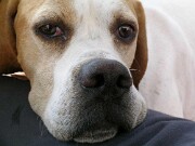 2006_2007 Monty -02 null