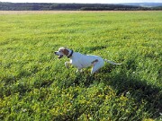 2006_2007 Monty -03 null