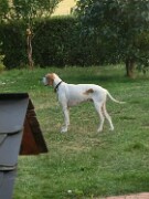 2006_2007 Monty -05 null