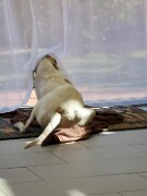 2006_2007 Monty -06 null