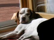 Platz an der Sonne null