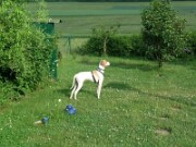 Zuhause im neuen Reich null