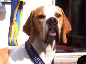 2008_06_Monty Pflegestelle