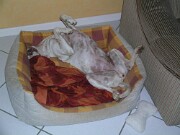 ich fühl mich wohl null