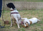 Branca und Monty -02 null