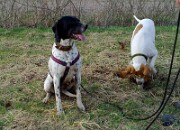 Branca und Monty -03 null