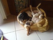 Branca und Monty -05 null