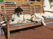 Chillen in der Sonne null