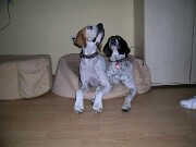 Branca und Monty -07 null