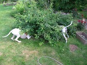 Branca und Monty -11 null