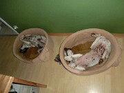 Branca und Monty -15 null