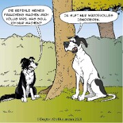 Befehle würdevoll ignorieren null