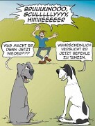 FB_IMG_1731162454351 null