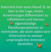 Anweisungen diferenziert null