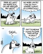 FB_IMG_1698829490297 null