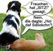 Frauchen hat Sitz gesagt null
