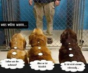 im Menschenheim null