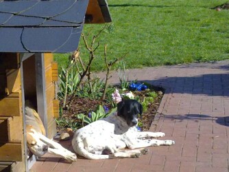 2010 Branca und Monty