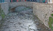 _IMG7531 null