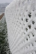 Frost am Zaun null