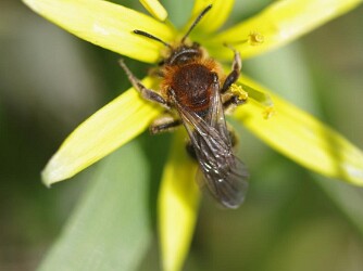 Kleine Dinge ganz groß
